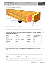 Ökologie: Holz