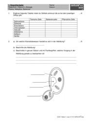 1. Extemporale für Biologie Realschule 8. Klasse zum Thema Hefepilze und Bakterien