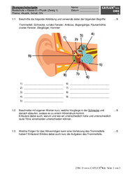 Physikschulaufgabe zum Thema Akustik, Schall, menschliches Ohr und Hörvorgang (Zweig 1)