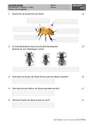 Leistungsnachweis / Probe für HSU Grundschule 2. Klasse zum Thema Bienen